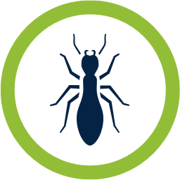 Pest control with effective pest control services