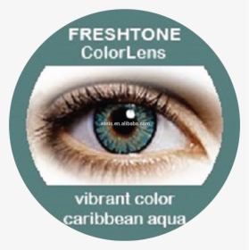 The greatest Colored Contacts for dim Eyes