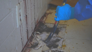 Cleaning Up Crime Scenes: A Positive Impact on Salinas, CA